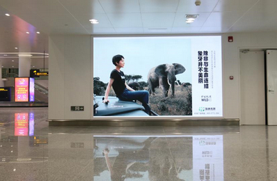 行李廳出口通道墻面燈箱廣告 行李廳出口通道墻面燈箱廣告