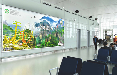第一戶外傳媒-溫州龍灣機場T2國內(nèi)出發(fā)候機安檢后左右指廊墻面燈箱 第一戶外傳媒-溫州龍灣機場T2國內(nèi)出發(fā)候機安檢后左右指廊墻面燈箱