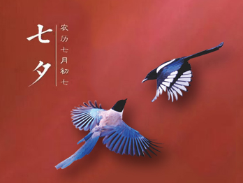 七夕節，你秀恩愛了嗎?