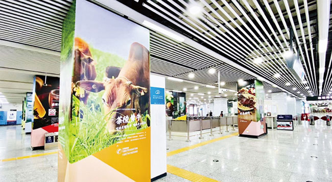 五一廣場站C區品牌站廳廣告