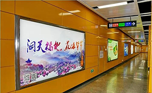 畢節文旅-廣州地鐵燈箱