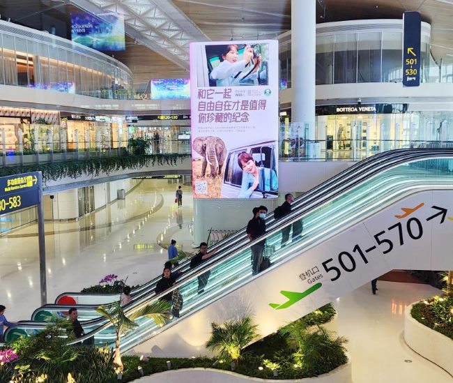 深圳寶安機場衛星廳安檢口LED大屏廣告價格，深圳機場T3大屏廣告牌