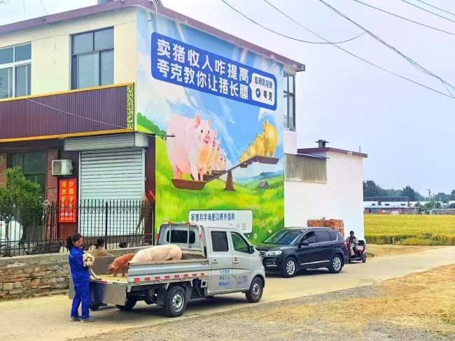 如何結合方言和文化元素設計刷墻廣告？