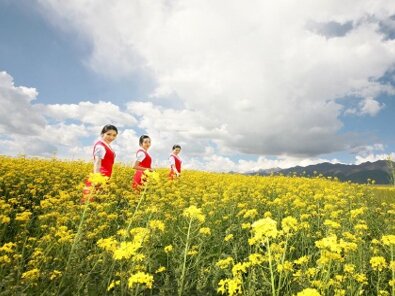 第一戶外傳媒-深圳航空-節(jié)目冠名廣告