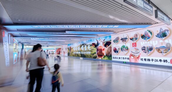 揚子江鮮牛奶-武漢地鐵廣告
