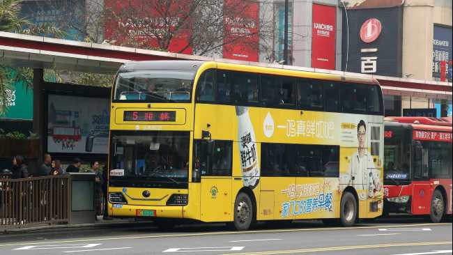 溫州雙層巴士車身廣告案例圖