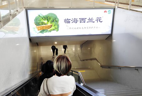 第一戶外傳媒-臨海站站臺層梯頂燈箱