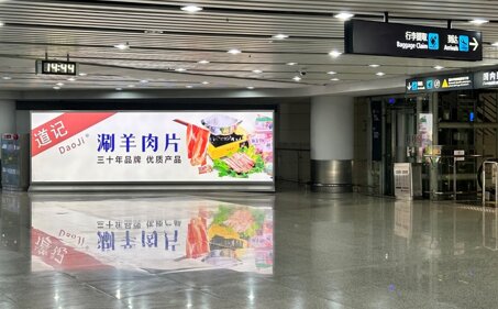 深圳第一戶外傳媒有限公司-揭陽潮汕機場T1航站樓到達通道下行李提取區口落地燈箱